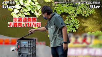 魚池綠到爆！他出手3天後曝驚人成果