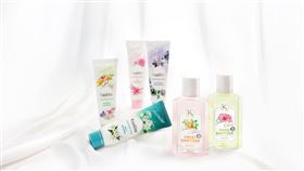 ▲Ksolite全系列商品（圖／業者提供）