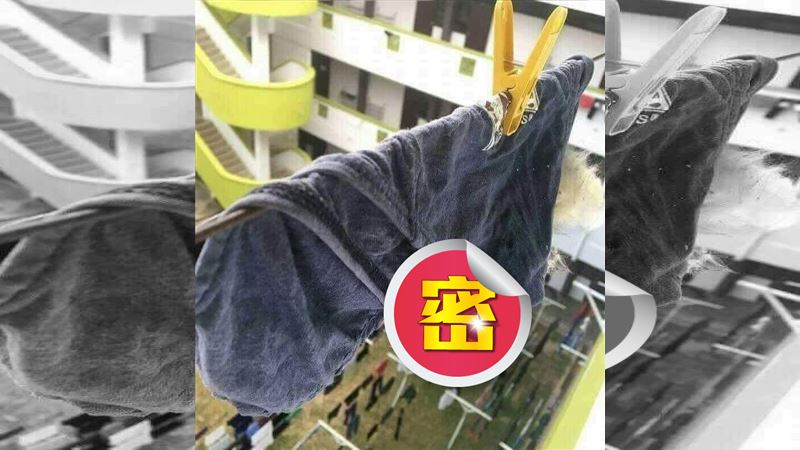 陽台驚見內褲「卡毛」　網一看全笑翻