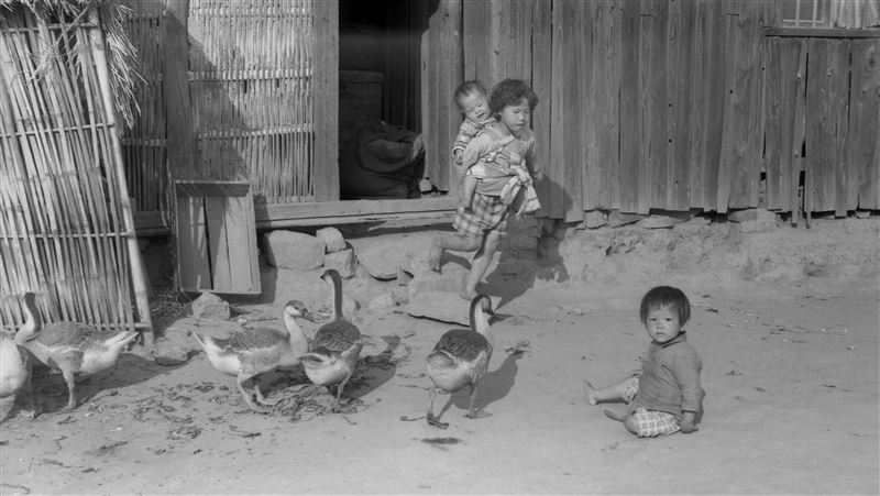 老照片故事／他不重他是我弟弟 