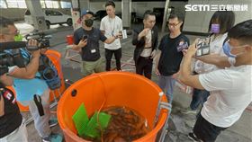 鄧佳華正式成為連千毅旗下海皇水產包裝部員工。（圖／記者楊忠翰攝影）