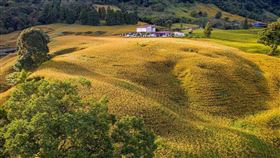 花蓮金針花、赤科山，Airbnb提供