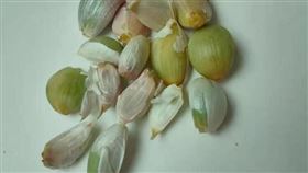 原PO貼文表示家裡的蒜頭變綠了。（圖／翻攝自臉書「廚藝公社」）