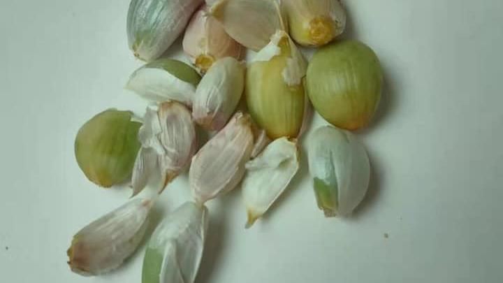 蒜頭一夜變綠！內行揭主因：這樣更好