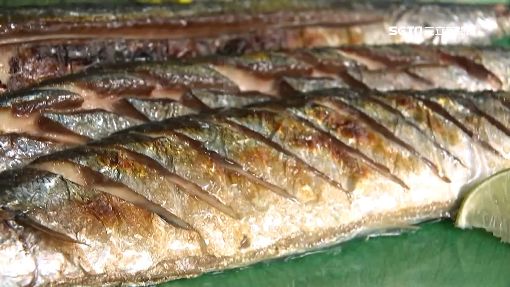 沙丁魚斷食暴紅　這款平價魚Omega-3高2倍
