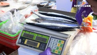 中秋海味漲！秋刀魚每斤飆破100元