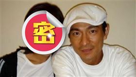 賴文慧擔任華仔御用伴舞已經24年。（圖／翻攝自百度百科）