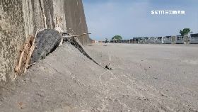 Y大排破未修2400