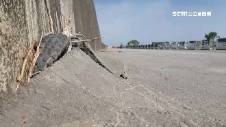 剛遭溪水沖破　麟洛大排竟用輪胎補洞