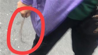 車停空地　女遭暴怒阿婆狠拔一撮頭髮