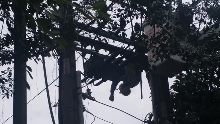 台電人員遭電擊受傷　驚險倒掛畫面曝