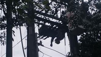 台電人員遭電擊受傷　驚險倒掛畫面曝