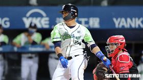 ▲富邦悍將游擊手陳凱倫。環保球衣（圖／記者劉彥池攝影）