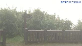 北台灣風雨增！陽明山道路起濃霧