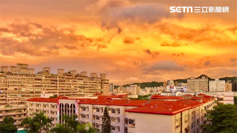 獨／璨樹「火燒雲」綻放新北天空！