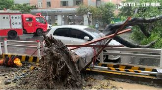 北市大樹倒塌砸中車　全台災情一次看
