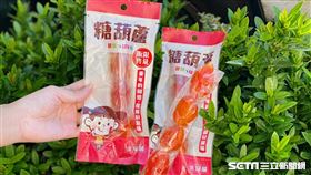 小七。（圖／記者馮珮汶攝）