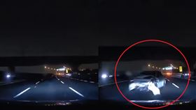 圖／翻攝自爆廢公社二館臉書