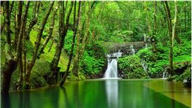 台灣好水榮獲國際「最高金賞獎」 悅氏水源地原來在這裡