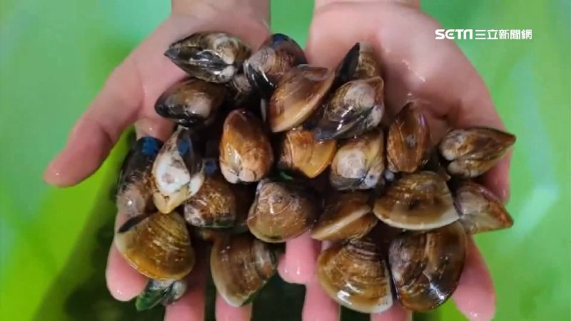 「蛤蜊沒吐沙」毀整鍋　網傻：剛挖的
