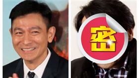 劉德華與泰迪羅賓（組合圖／資料照）遮