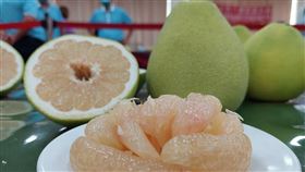 文旦/柚子(新北市政府農業局提供)