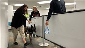 ▲美國邁阿密機場派出嗅探犬來聞新冠病毒氣味（圖／翻攝自邁阿密機場官網）