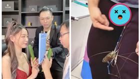 連千毅,鄧佳華,泰國蝦,離職