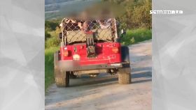 文 沙灘車囂張1200