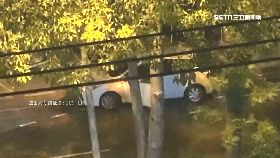 文 醉女跳車吵1200