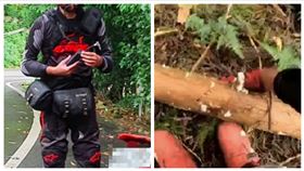 高台山,越野男,失蹤,最後身影（圖／翻攝畫面）