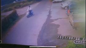 毒狗，竹北，包子（圖／《新竹市浪愛傳遞貓狗TNVR協會》提供）