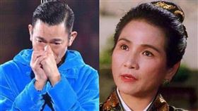 張柏芝,周星馳,劉德華,鄭佩佩,大隻佬,喜劇之王,楊門女將,香港,林青霞