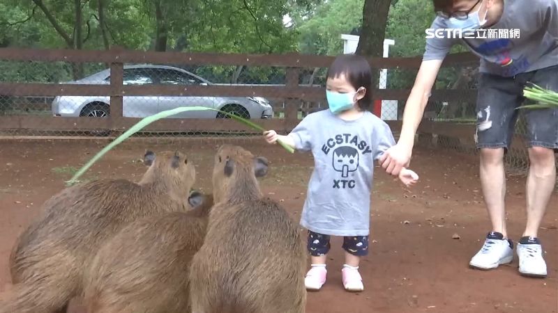 中秋連假去哪玩？樂園超狂優惠瘋搶客