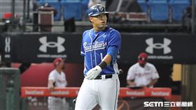 ▲富邦悍將外野手林哲瑄。（圖／記者劉彥池攝影）