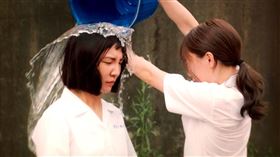 柴智屏女兒高雋雅 戀愛是科學