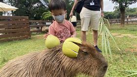埔心牧場過中秋，門票優惠200元再抽5萬大獎。（圖／埔心牧場提供）