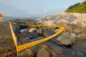 中華白海豚魂斷金門九宮岸際（1）