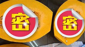 長知識！南瓜切開驚見「細長白蟲」　專家一看：安啦還能吃（圖／翻攝自路上觀察學院）