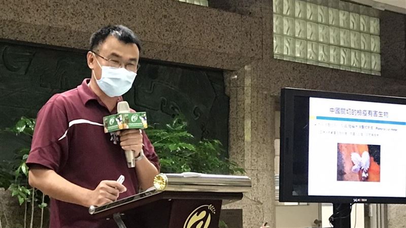 釋迦蓮霧遭封殺　陳吉仲對中國下通牒