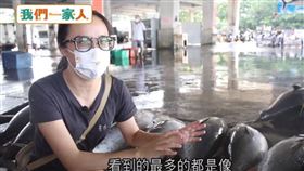 四川姑娘走入東港漁市　行銷創意擦亮夫家招牌