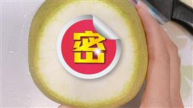 切開柚子驚裡面有住人！她：抱歉打擾（圖／翻攝自爆廢公社二館臉書）