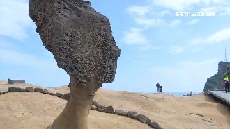 脖子變超細　野柳女王頭5年內恐斷頸