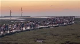 高美濕地，木棧道擠3500人，報復性出遊，(圖／翻攝畫面)