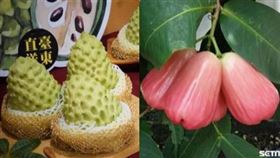 蓮霧、釋迦（組合圖）