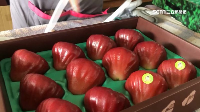 超前部署！佳冬蓮霧加工品自成品牌