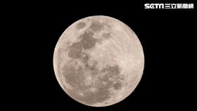 元宵節,賞月,超級月亮　圖／記者林士傑攝影