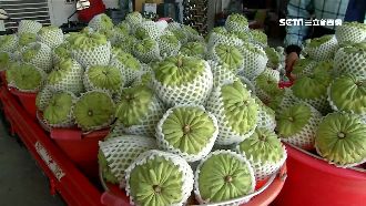 鳳梨釋迦內銷 饒慶鈴喊中央發釋迦券