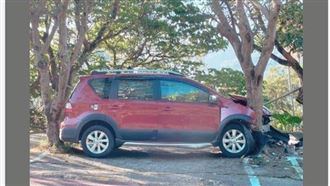 屏東酒駕自撞　「完美卡樹」網笑翻