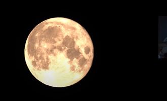 中秋「4生肖」準備翻身！1招讓下半年旺爆